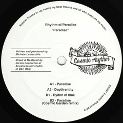 CRM01 // Rhythm of Paradise - Paradise 12"