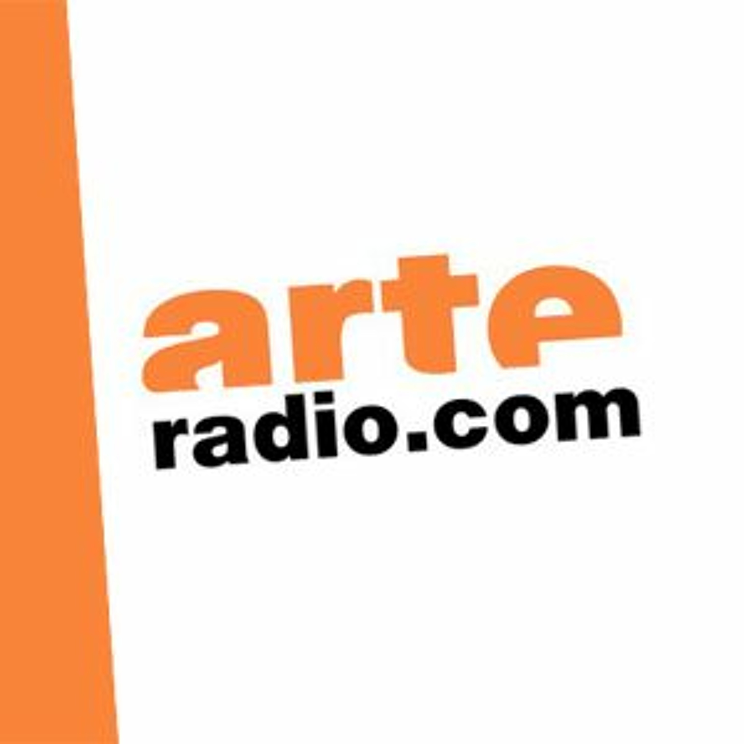 LE ROI DU FLIP - ARTE Radio - 08042014 episode artwork