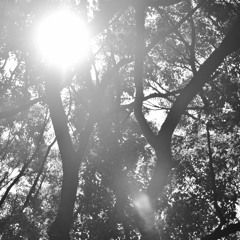 ハッピーエンドロール