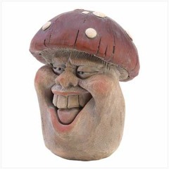 Moonlight - Elephant 6