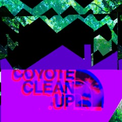 CCU /// COOTS COVE