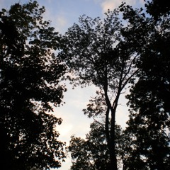 VR Broadcast #1 (DJ Set)