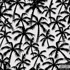 Trapping Out The Tropical(prod. By Dj PaYsO)