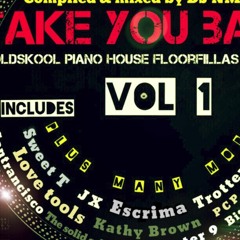 TAKE YOU BACK Dj Nmeg Oldskool Piano  House Floorfillas  94 To 96 Vol 1