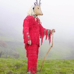 Golden apples (Country Teasers)