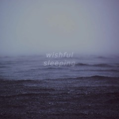 Wishful Sleeping