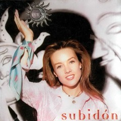 Subidon -Fey-