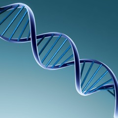HELIX SYSTEM