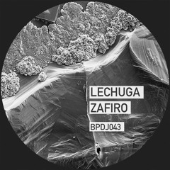 ~ SALVIATEK TAKEOVER - Lechuga Zafiro ~