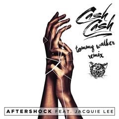 Cash Cash - Aftershock ft. Jacquie Lee (Tommy Walker Remix) FREE DOWNLOAD