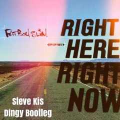 Fatboy Slim - Right Here Right Now (Steve Kis Dingy Bootleg)