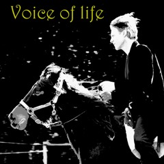 Voice Of Life