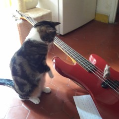 1003byRawbiRaw(cloudlaboratory)