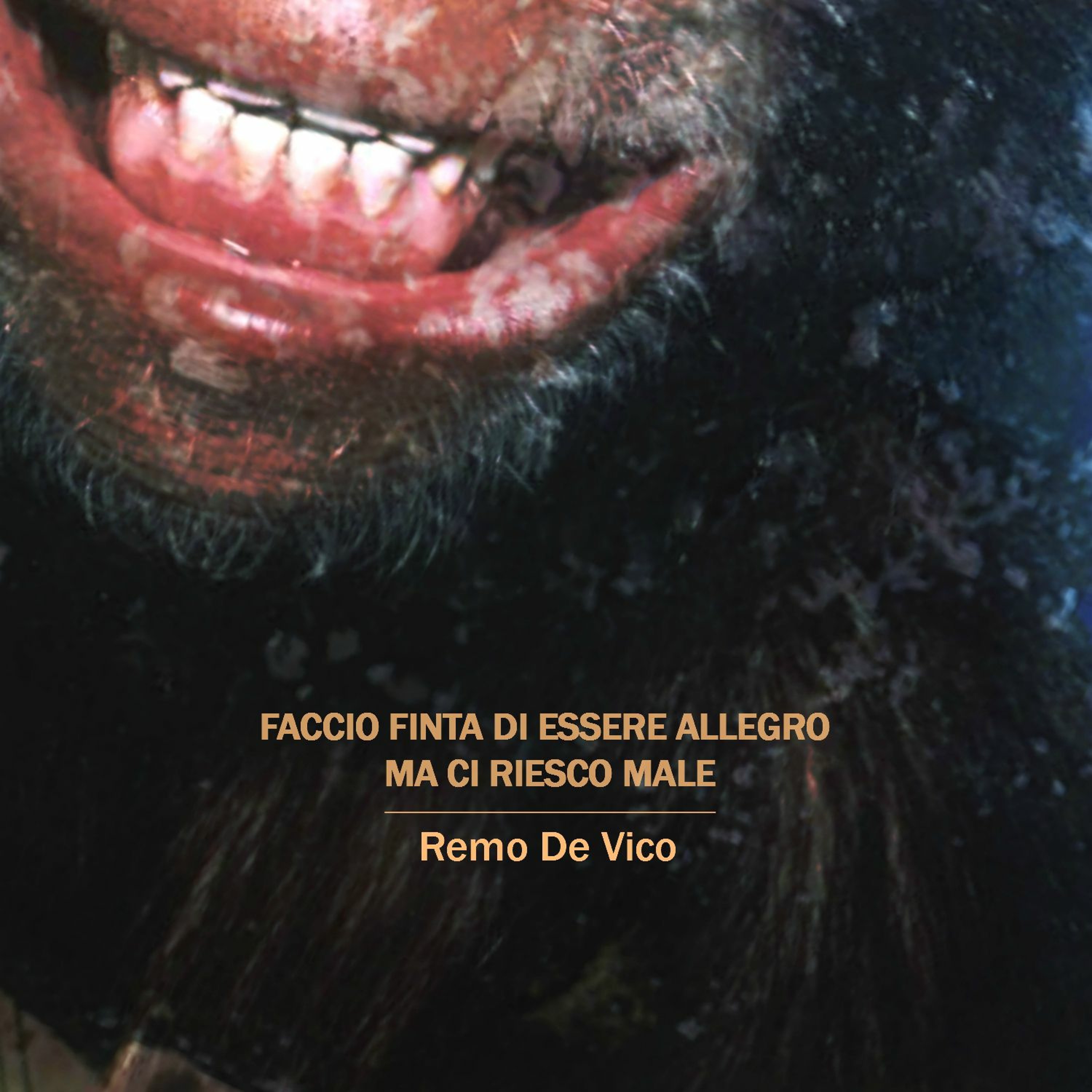 Remo De Vico
