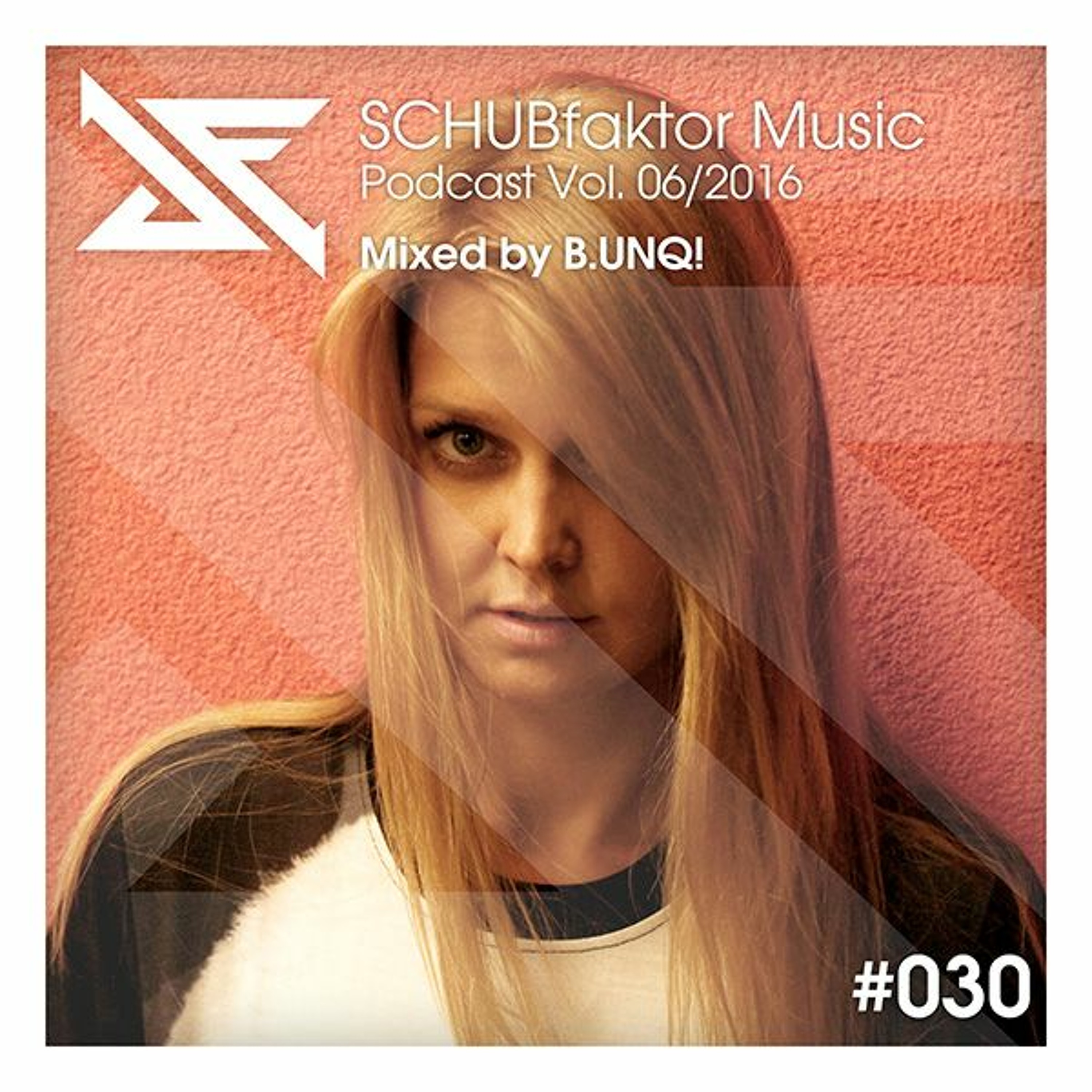 SCHUBfaktor Music