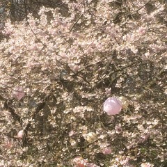 Alla vill väl vara någon