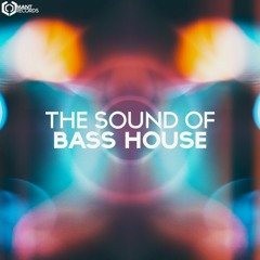 MANT - The Sound Of Bass House (Megamix)