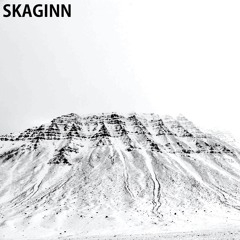 Skaginn - RIF
