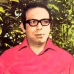 علی نظری  _ من غروبم ، تو شبی