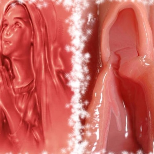 5. I'm A C... - No I'm Not