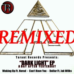 (Arum Remix) A.D.A.Y. - Can't Have You