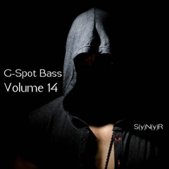 S(y)N(y)R - G-Spot Bass (Vol 14)