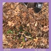 Growth Mp3