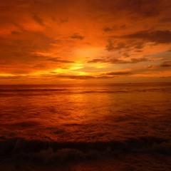 Live The Life You Love