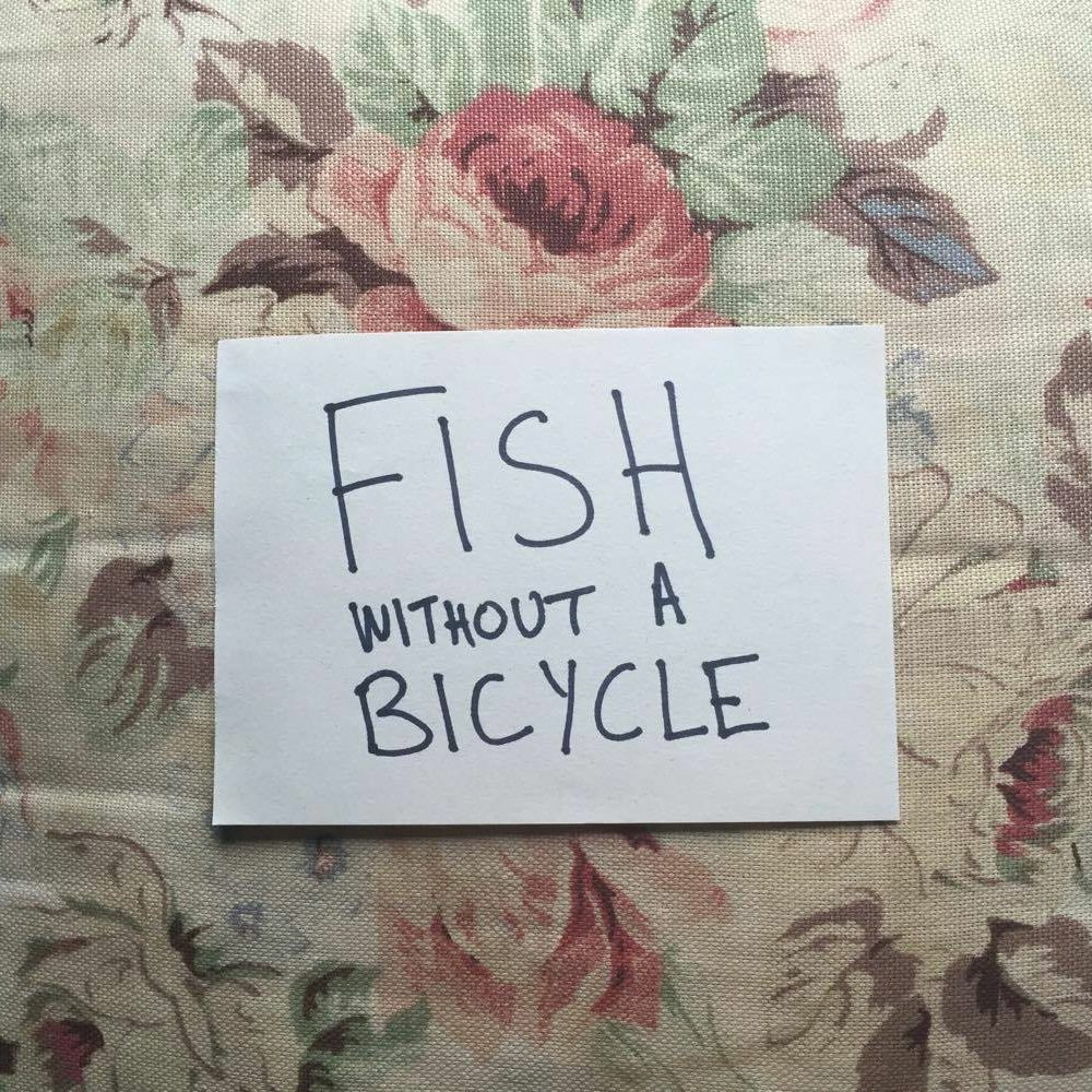 Fish Without A Bicycle Theme episode artwork