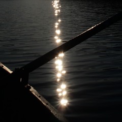 Волна весны