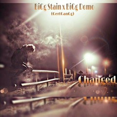 Stain x Domo (GertGanG)-Changed On Me