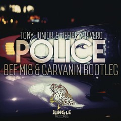 ***JUNGLE RECORDS REMIXES/BOOTLEGS PROMOS***