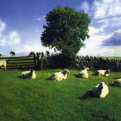 The KLF - Pulling Out Of Ricardo And The Dusk Is Falling Fast