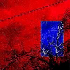 ✺   ✺   ✺   ✺   ✺   ✺