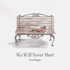 We Will Never Meet