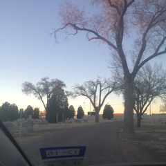 The Abortion Waltz [Demo]