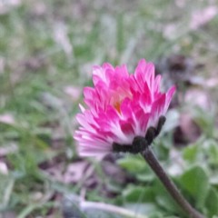 거리에서 (김광석Cover) 저산처럼 서상우