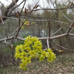 사랑했어요(김현식Cover)저산처럼 서상우