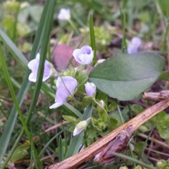 불행아(김광석 Copy)저산처럼 서상우