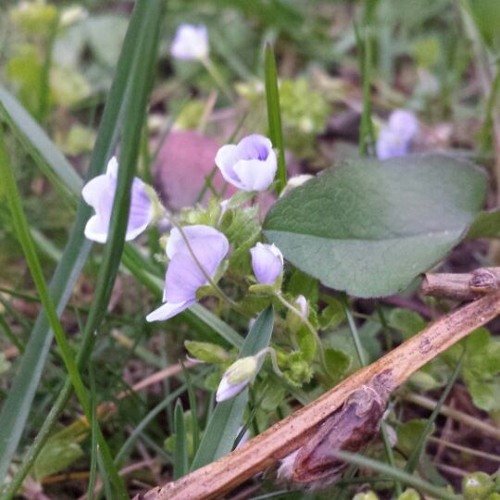 불행아(김광석 Copy)저산처럼 서상우