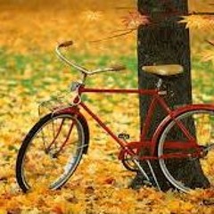 살다보면(권진원cover)저산처럼 서상우