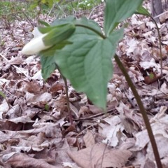 슬픈 우연 (김광석 cover)저산처럼 서상우