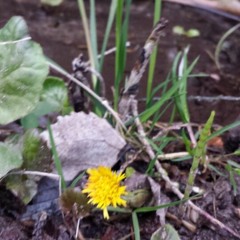 그날들 (김광석Cover) 저산처럼 서상우