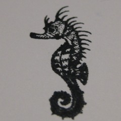 Hippocampus