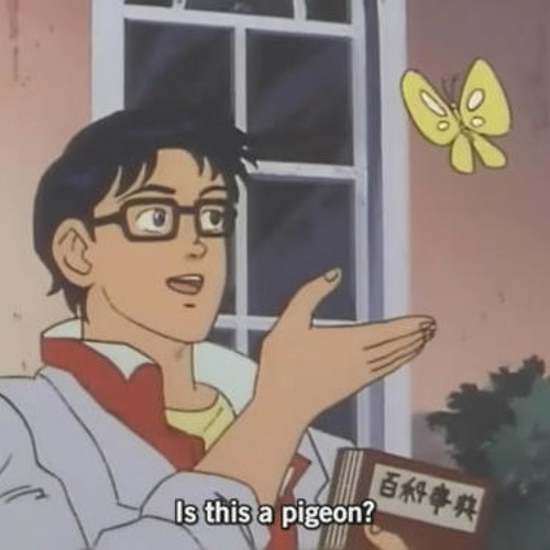 zoop