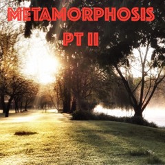 METAMORPHOSIS PT II