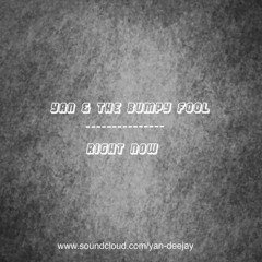 Yan & The Bumpy Fool - Right Now (sample)