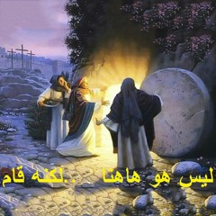 hany mounir
