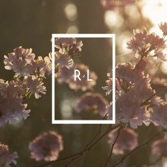 Ronin & Lars Porter - Noir