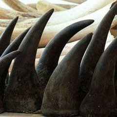 Excerpt From The Tempest